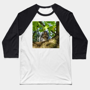 Animals in Trees A Squirrel Baseball T-Shirt